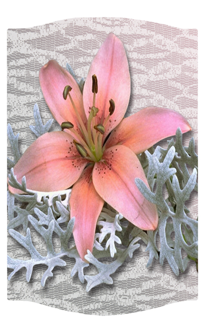 DNSLOG C 023 Pink Lily 